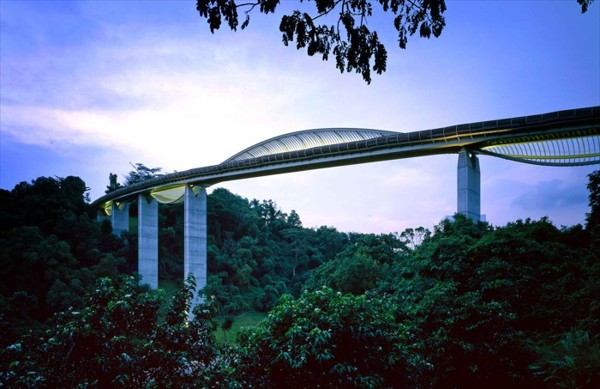亨德森波浪桥(Henderson Waves)