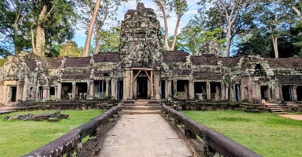 塔普罗姆寺庙(Ta Prohm Temple)