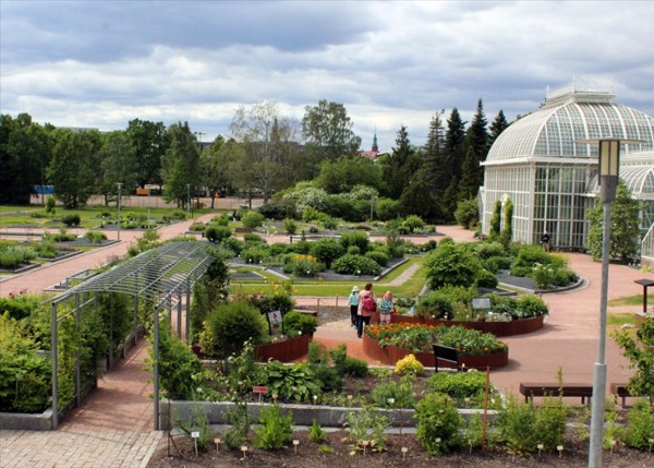 凯萨涅米植物园(Kaisaniemi Botanic Garden)
