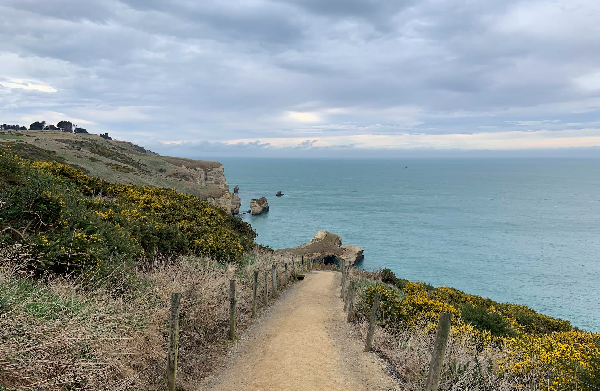 但尼丁隧道海滩(Tunnel Beach)