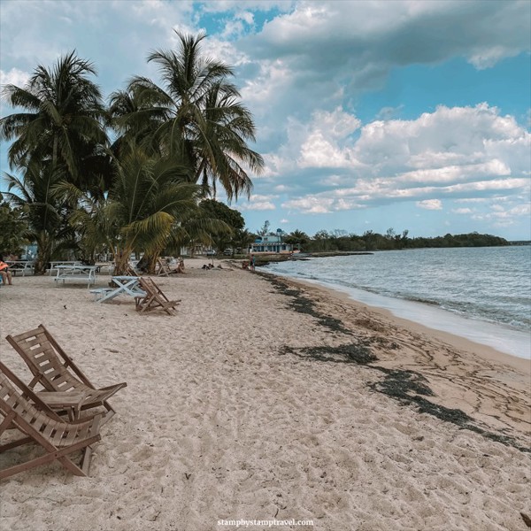 乌斯怀亚长滩自然保护区(Playa Larga)