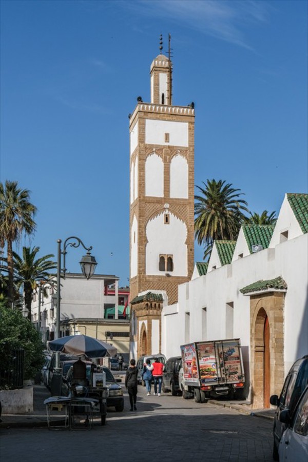 乌尔德哈姆拉清真寺(Ould El Hamra Mosque)
