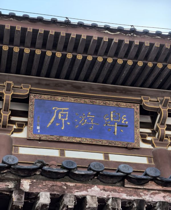 乐游原（Leyou Park）