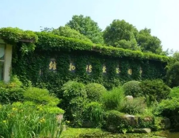 中国茶叶博物馆双峰馆区（China National Tea Museum）