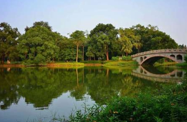 华南国家植物园（South China National Botanical Garden, Guangzhou）