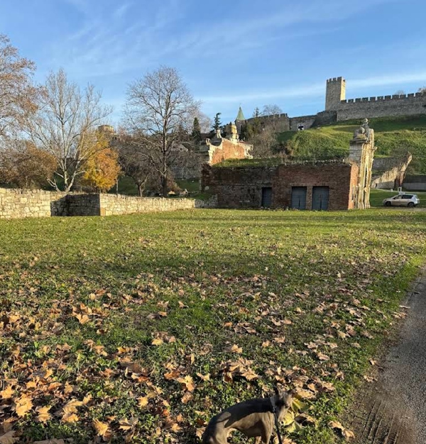 卡莱梅格丹下城公园(Lower Town of Kalemegdan)
