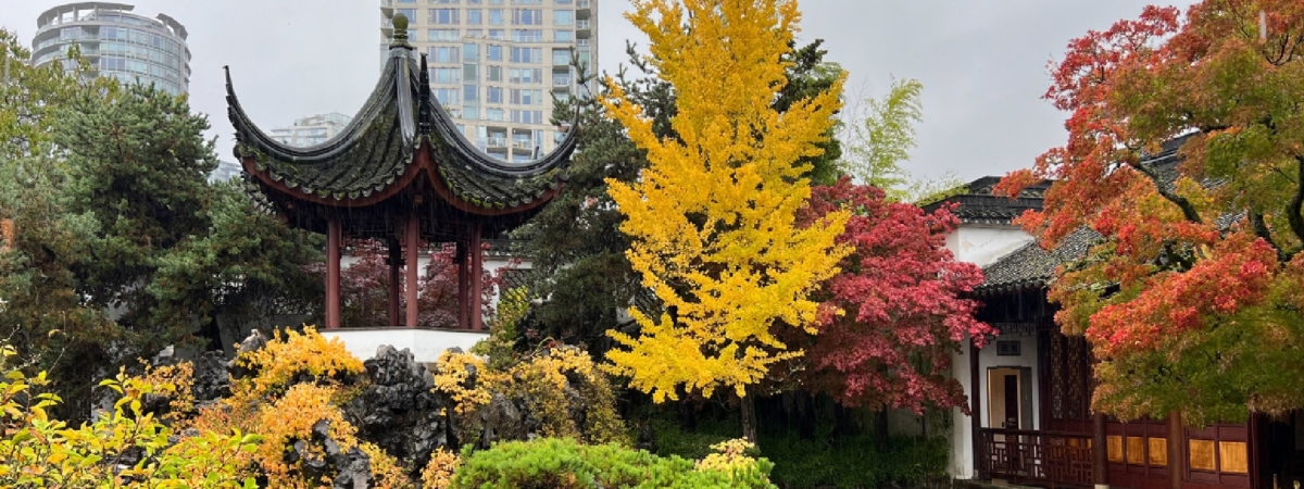 温哥华百年华埠路线图片