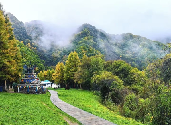 六盘山国家森林公园（Liupanshan National Forest Park）