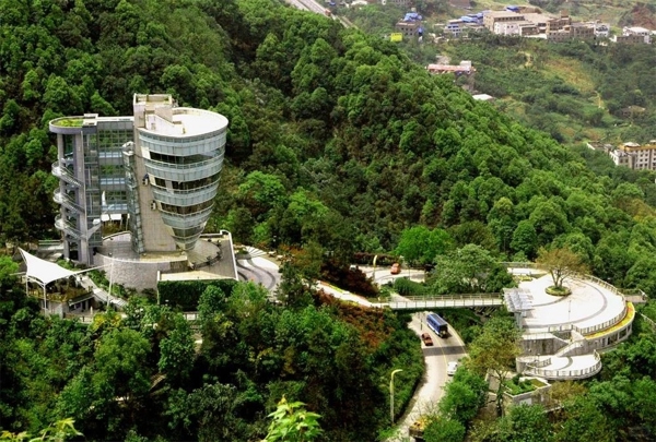 南山一棵树景区（Nanshan Yikeshu Scenic Spot, Chongqing）